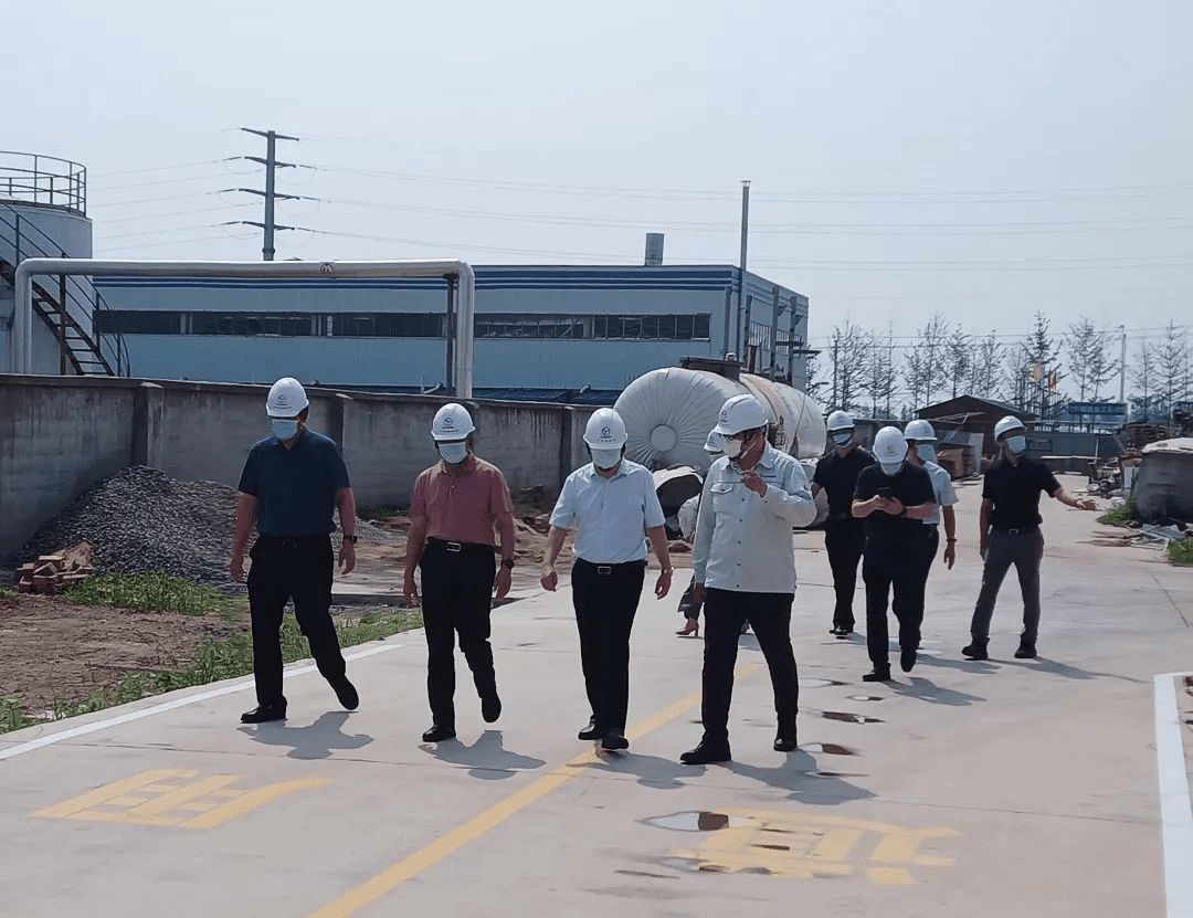 Linyi Vice Mayor Wang Yinghai and Delegation Visit Lixing Advanced Material — Original illustration