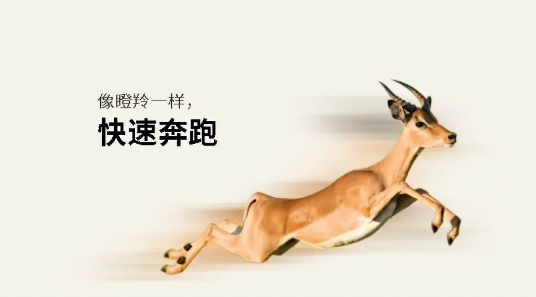 Lixing Advanced Material Recognized as a Shandong Gazelle Enterprise for 2022 — Original illustration